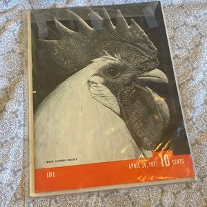 Life Magazine April 1937 White Leghorn Rooster full copy